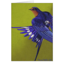 Bluebird, Barn Swallow Card