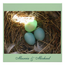Bluebird Eggs times three invitations