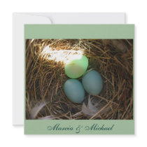 Bluebird Eggs times three Custom Invites