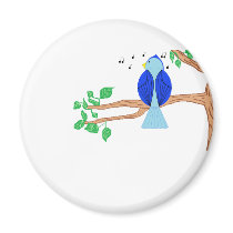 Bluebird magnets