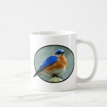 Bluebird in Oval Frame Coffee Mugs