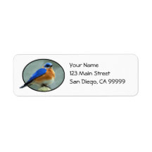 Bluebird in Oval Frame Custom Return Address Labels