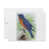 Bluebird invitations by biologybase Bluebird invitations
