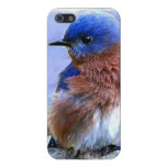 BLUEBIRD IPHONE 5 CASE