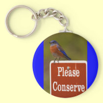 bluebird keychains
