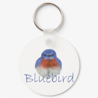 bluebird keychain keychain