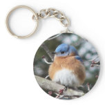 Bluebird Keychain