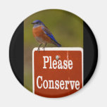 bluebird magnet