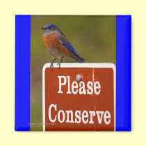 Bluebird magnets