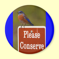 bluebird magnets