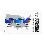 Bluebird Map Stamp