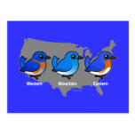 Bluebird Map Postcard