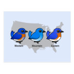 Bluebird Map Postcard