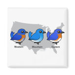 Bluebird Map Square Magnet