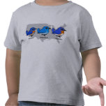 Bluebird Map Toddler T-Shirt