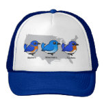 Bluebird Map Trucker Hat
