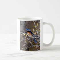 bluebird mugs