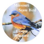 Bluebird Mussouri State Bird