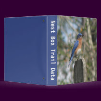 Bluebird Nestbox Trail 2 binders