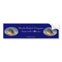 Bluebird Of Happiness Affirmation Bumper Sticker bumper stickers