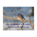 Bluebird Of Happiness Affirmation Nature Postcard postcard