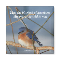 Bluebird Of Happiness Affirmation Photo Magnet