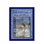 Bluebird Of Happiness Inspirational Shirt Bluebird Of Happiness Inspirational Shirt