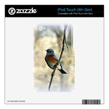 Bluebird of Happiness iPod Touch 4G Skin