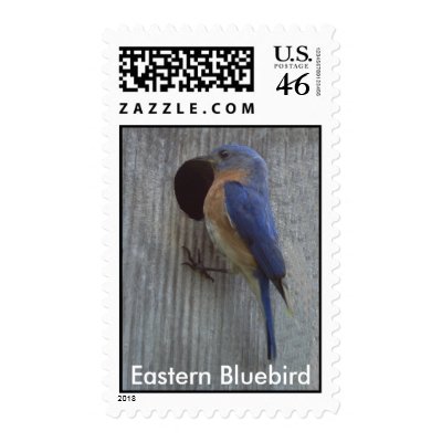 Bluebird on Nest Box Postage by naturegirl7