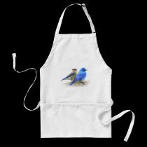 bluebird pair, male and female mountain bluebirds aprons