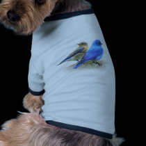 bluebird pair, male and female mountain bluebirds pet clothing