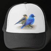 bluebird pair, male and female mountain bluebirds hats