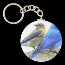 bluebird pair, male and female mountain bluebirds keychains