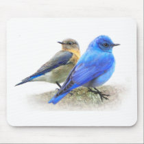 bluebird pair, male and female mountain bluebirds mousepads