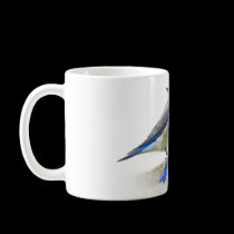 bluebird pair, male and female mountain bluebirds mugs
