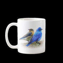 bluebird pair, male and female mountain bluebirds mugs