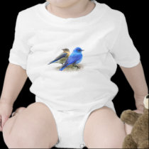 bluebird pair, male and female mountain bluebirds t-shirts