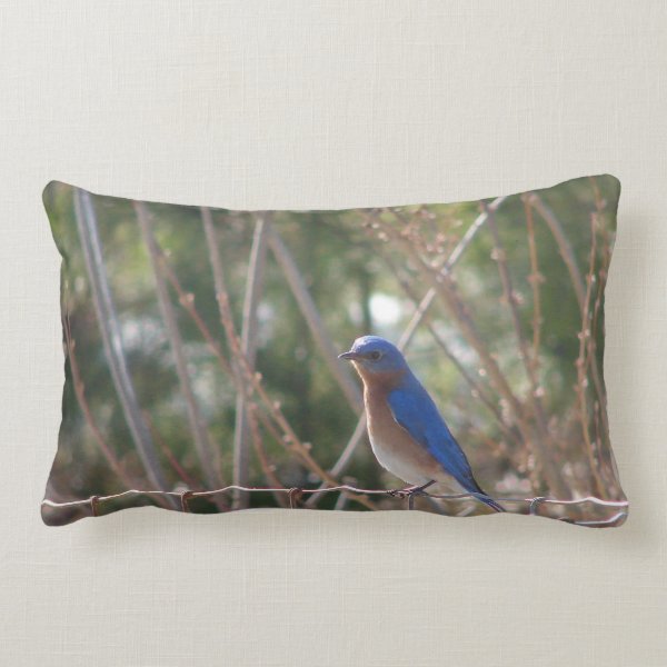 Bluebird pillow