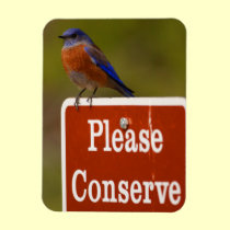 Bluebird, Please Conserve magnets