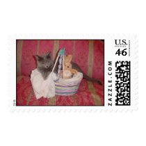 Bluebird postage by beatles33164 Bluebird postage