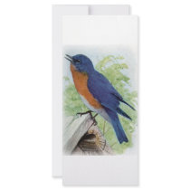 Bluebird rack cards