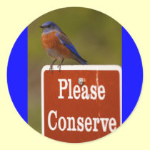 bluebird stickers