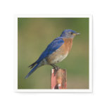 Bluebird Standard Cocktail Napkin