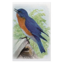 Bluebird stationery by biologybase Bluebird stationery