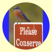 bluebird stickers