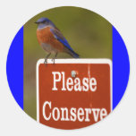 bluebird stickers