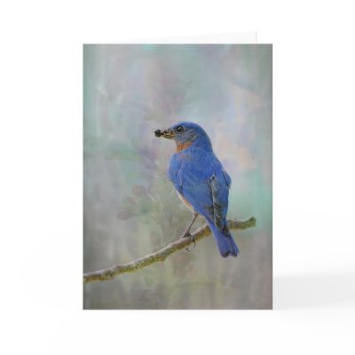 Bluebird Watercolor Card by bonbarry