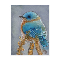 Bluebird Watercolor Post Card