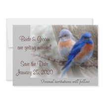 Bluebird Wedding Announcements