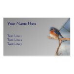 Bluebird Wildlife Nature Business Card